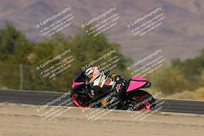 media/Nov-12-2023-SoCal Trackdays (Sun) [[5d1fba4e7d]]/Turn 3 Inside Speed Pans (135pm)/